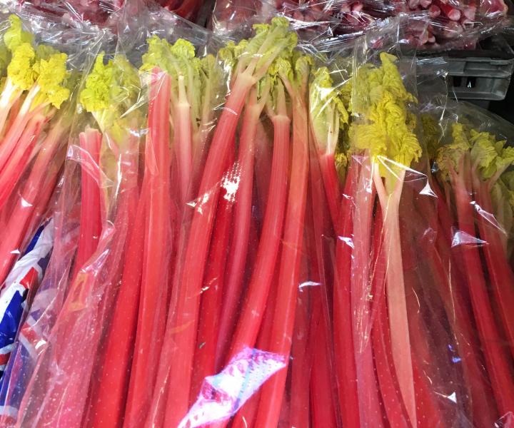 Wakefield Rhubarb Syrup